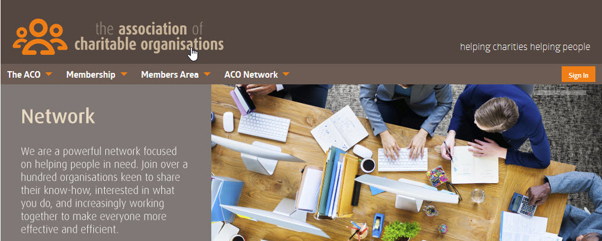 ACO Website - Screenshot of the home page showing branding design and the overall theme of the site