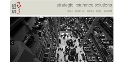 Strategic Insurance Solutions - Screenshot of the home page showing branding design and the look and feel of the site